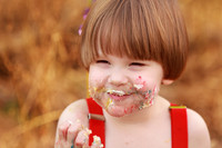 Cake Smashes